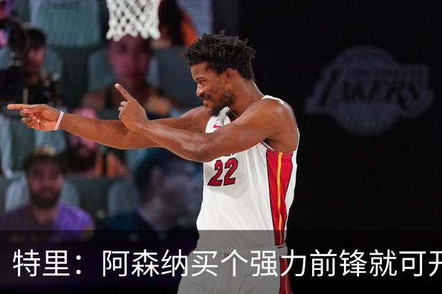 特里：阿森纳买个强力前锋就可开启英超王朝 切尔西想夺冠还早